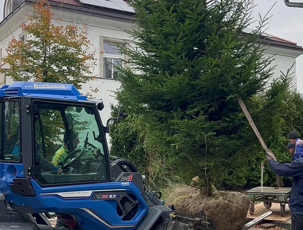 Maszyny Duże Drzewa – zdjęcie 58