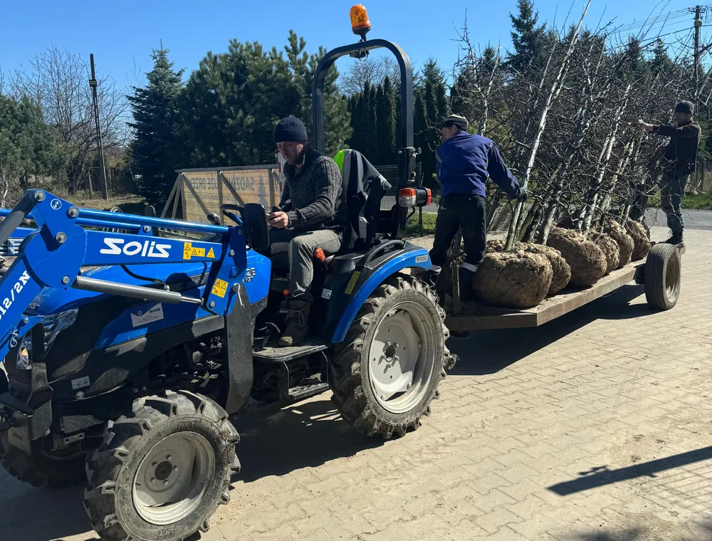 Maszyny Duże Drzewa – zdjęcie 122