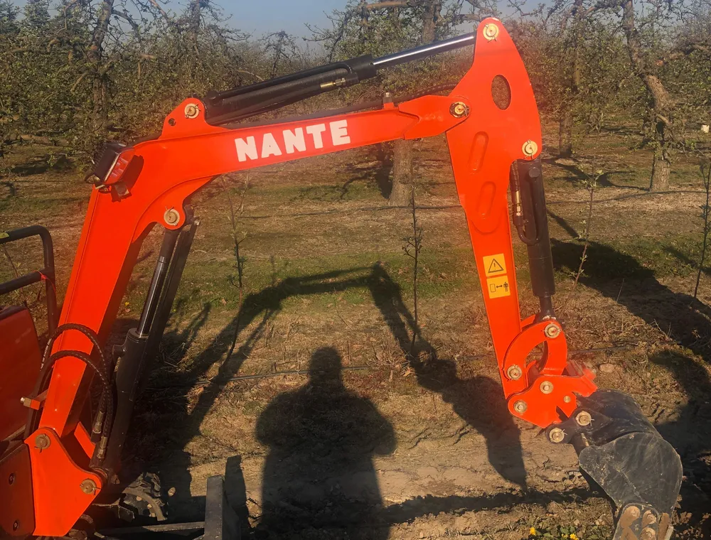Maszyny Duże Drzewa – zdjęcie 127