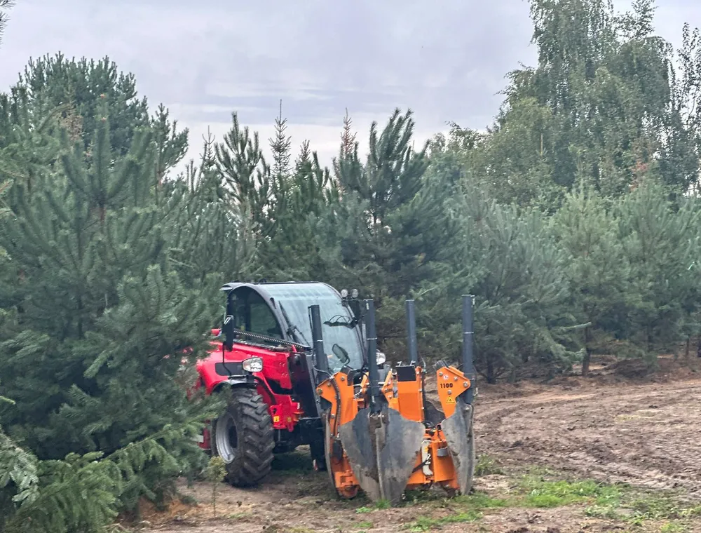 Maszyny Duże Drzewa – zdjęcie 135